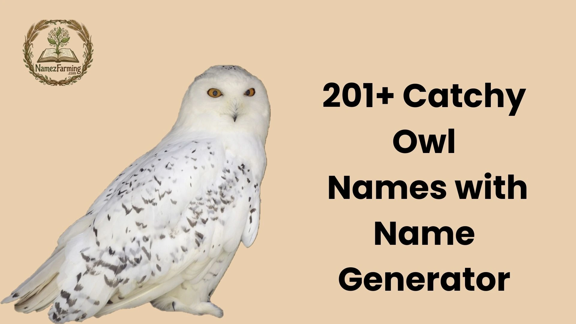 Owl name