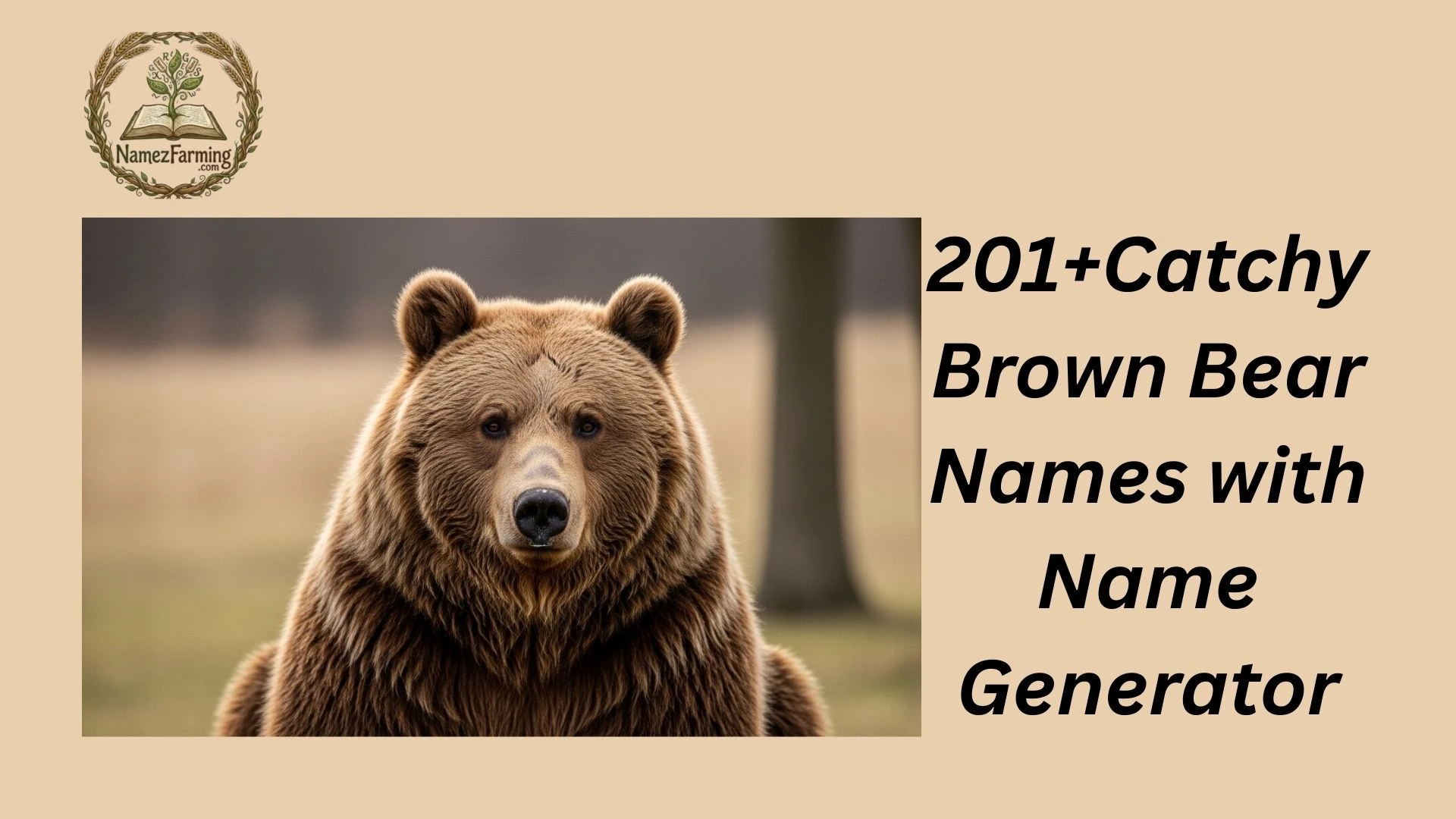Brown Bear Names